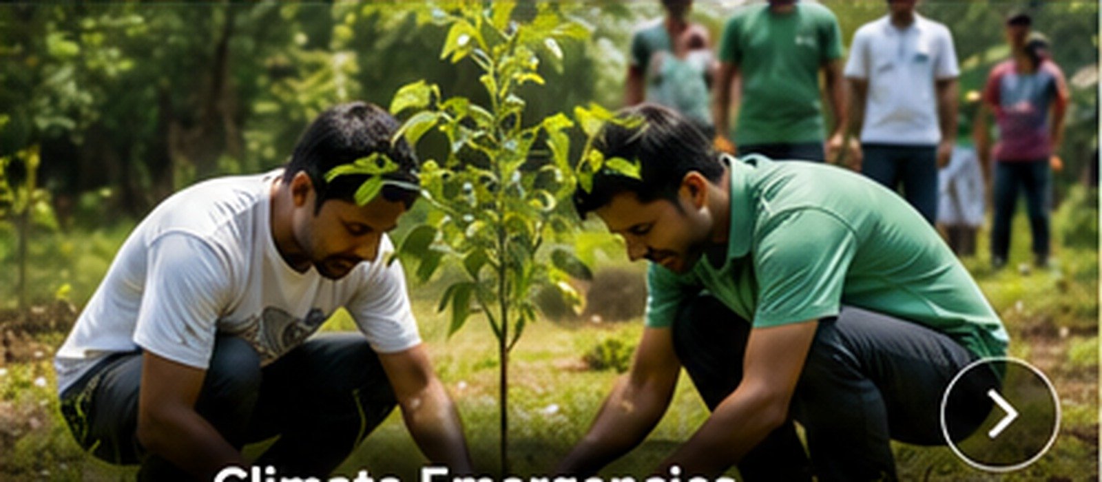 Climate emergencies and environmental action